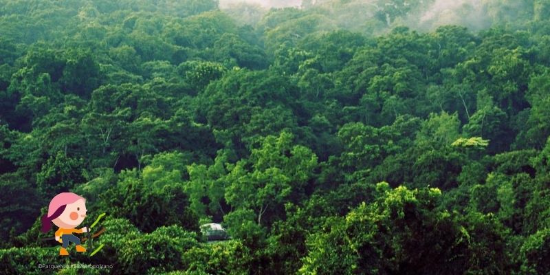 ¿Qué hacer en Ciudad de Panamá con niños?