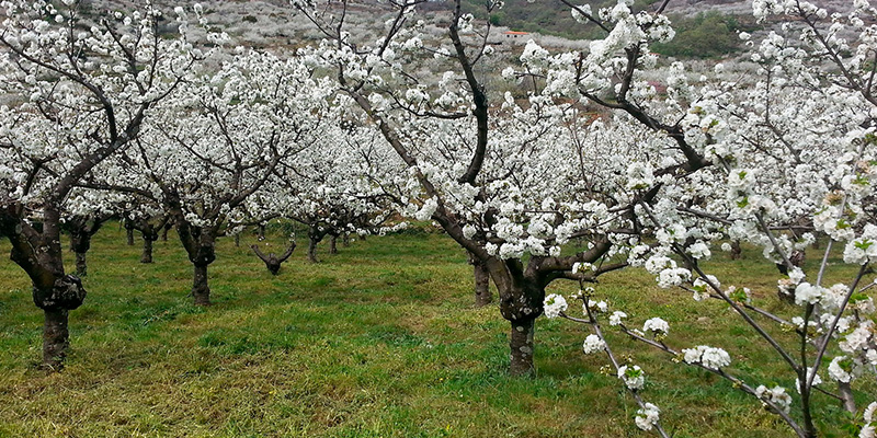 Las mejores rutas en coche en España