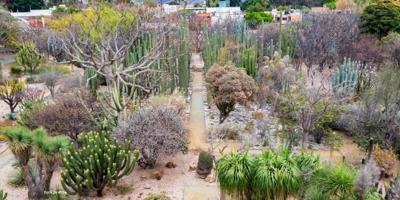 Oaxaca para niños: las mejores cosas que hacer