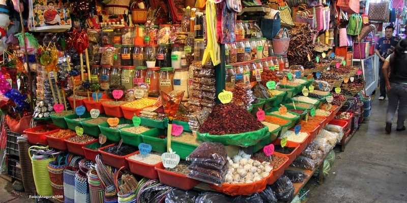 Oaxaca para niños: las mejores cosas que hacer