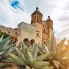 ¿Es seguro viajar a Oaxaca en la nueva normalidad?