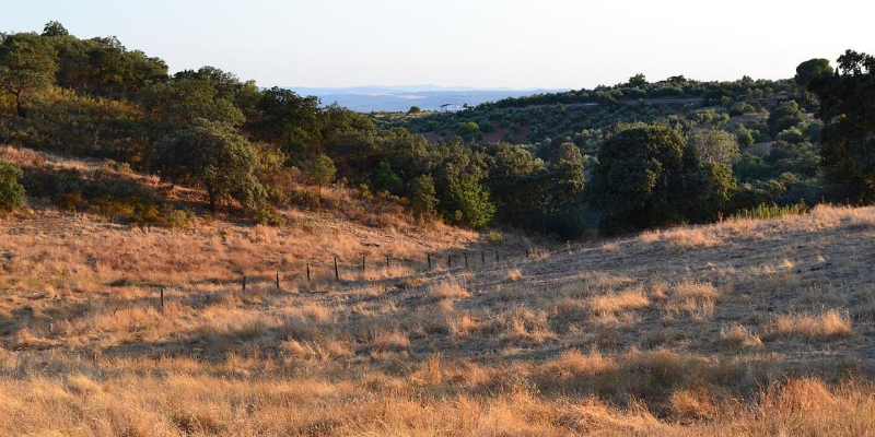 La ruta del jamón ibérico