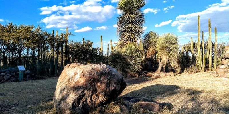 ¿Qué hacer en San Miguel de Allende?