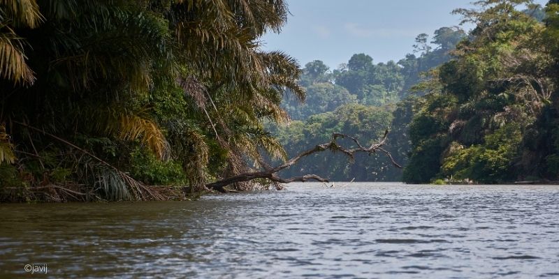 Las mejores cosas que hacer en Costa Rica