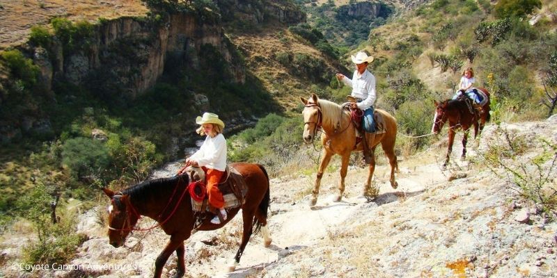 Cómo redescubrir San Miguel de Allende y mantener la sana distancia