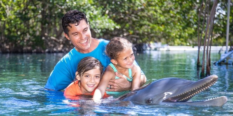 Los mejores lugares para ver e interactuar con delfines en Florida. 