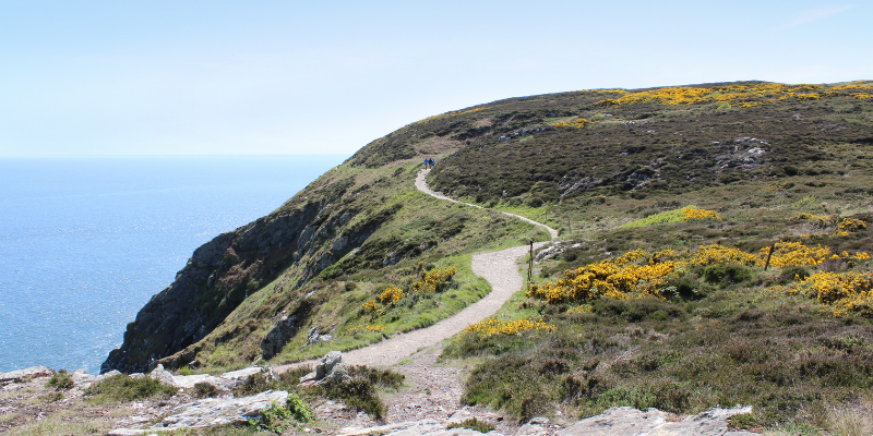 ¿Qué el Camino de Santiago y cuál es su historia?