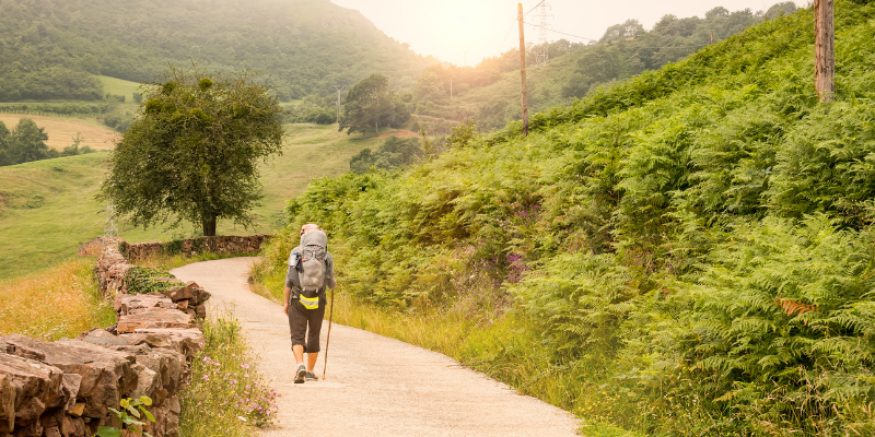 camino de santiago que saber