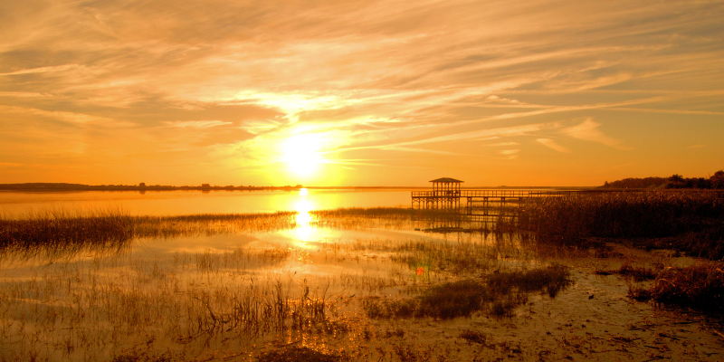 Guía de Kissimmee