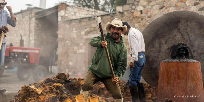 san luis potosi ciudad que hacer ver