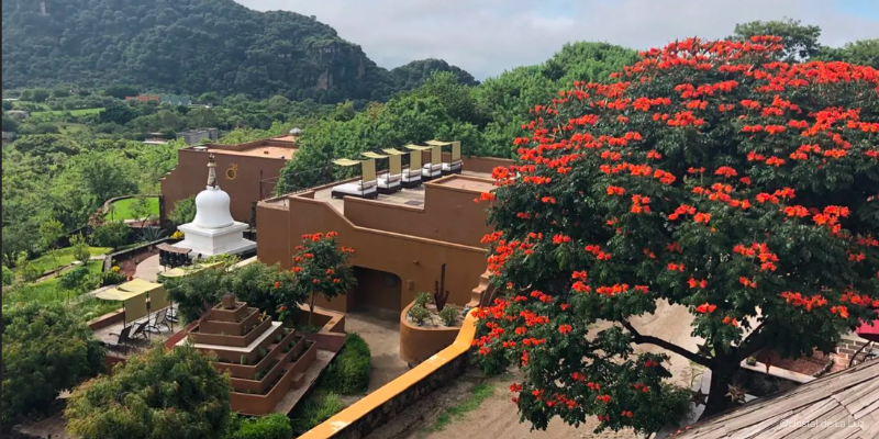 tepoztlan mejores hoteles