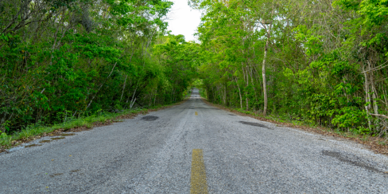 guia calakmul