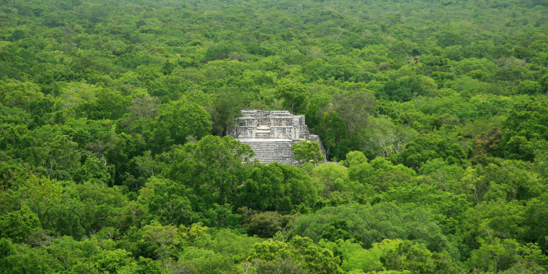 guia calakmul