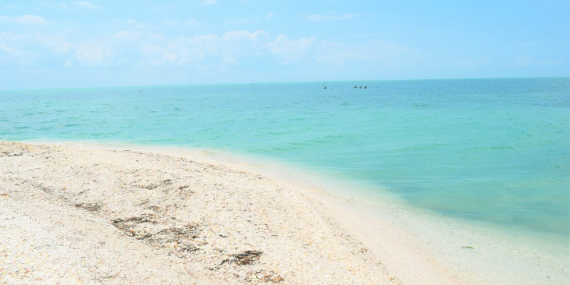 isla aguada campeche que hacer