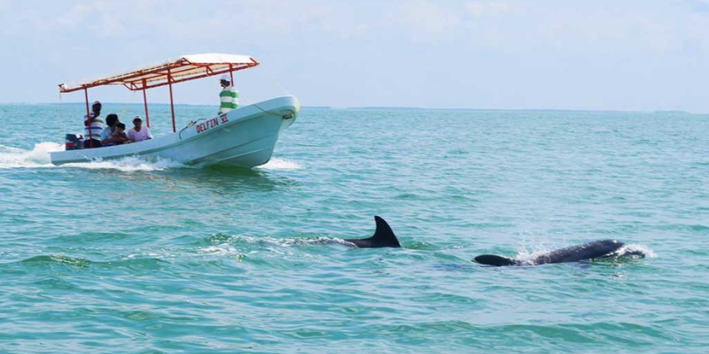 isla aguada campeche que hacer