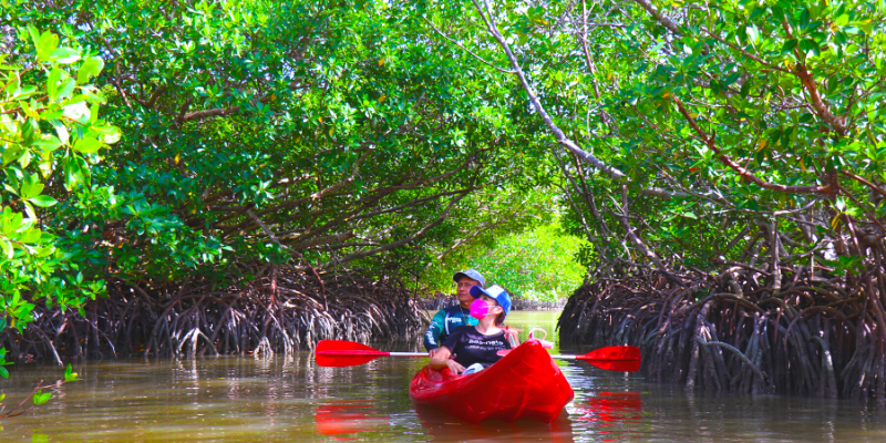 isla aguada campeche que hacer