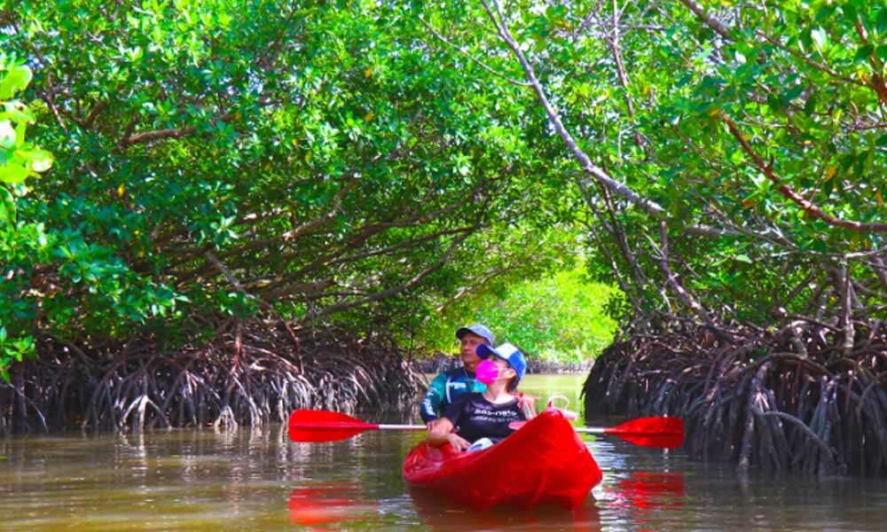 Isla Aguada Pueblo Mágico de Campeche