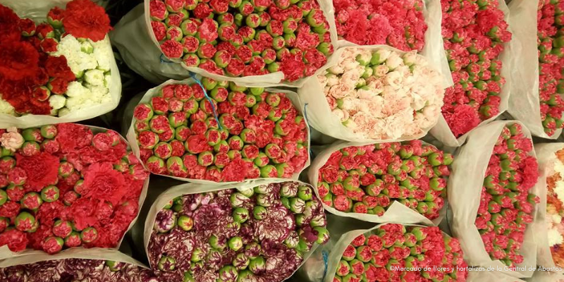 mercado flores cdmx