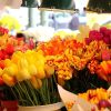 mercado flores cdmx