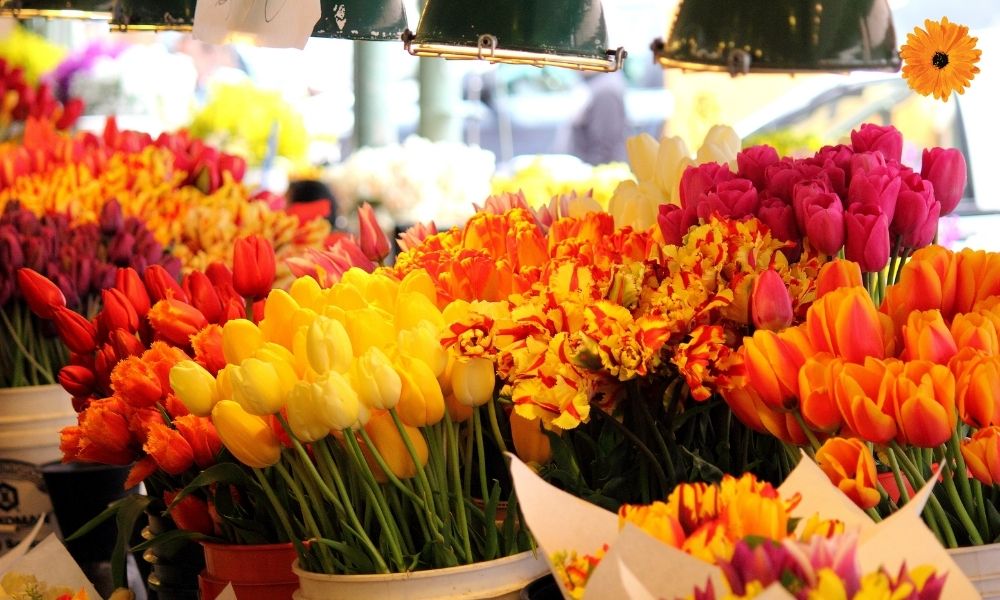 mercados-flores-cdmx-Mercados de flores en la CDMX(1)