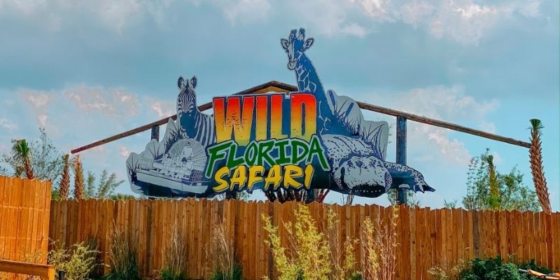 6 razones para visitar Wild Florida