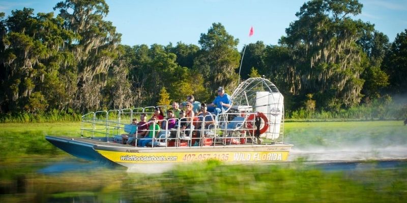 6 razones para visitar Wild Florida