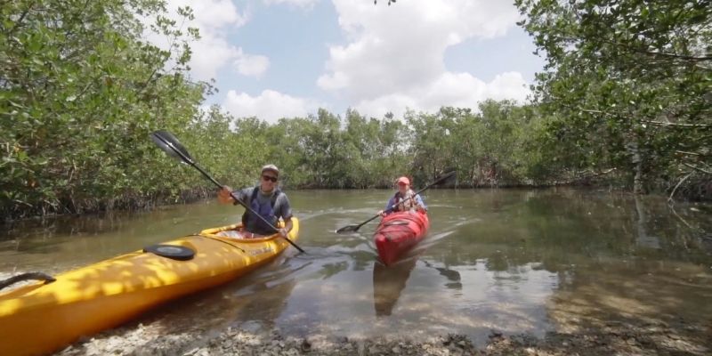 10 estupendos lugares en la Florida para pasear en kayak