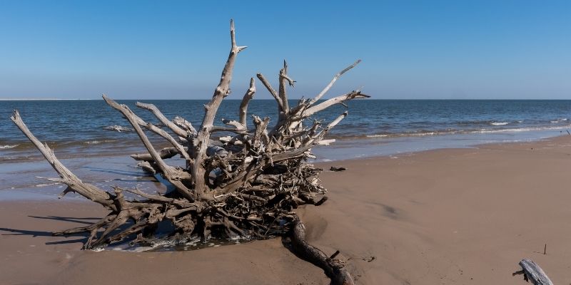 10 estupendos lugares en la Florida para pasear en kayak