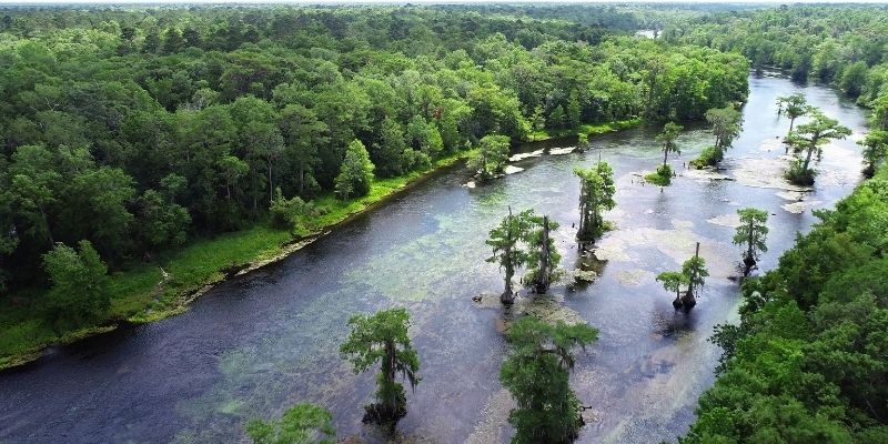 10 estupendos lugares en la Florida para pasear en kayak