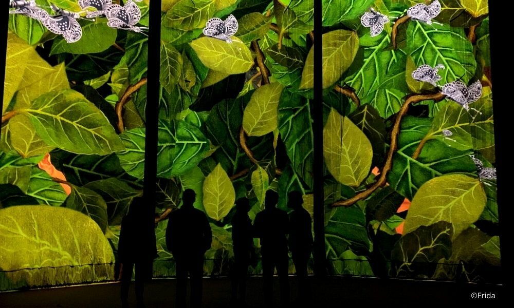 frida inmersiva fronton cdmx