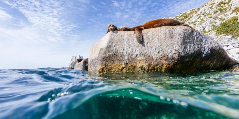 los cabos errores comunes viajar