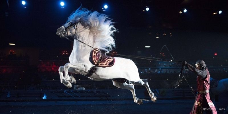 medieval times kissimmee orlando