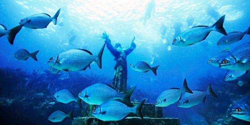 lugares bucear florida