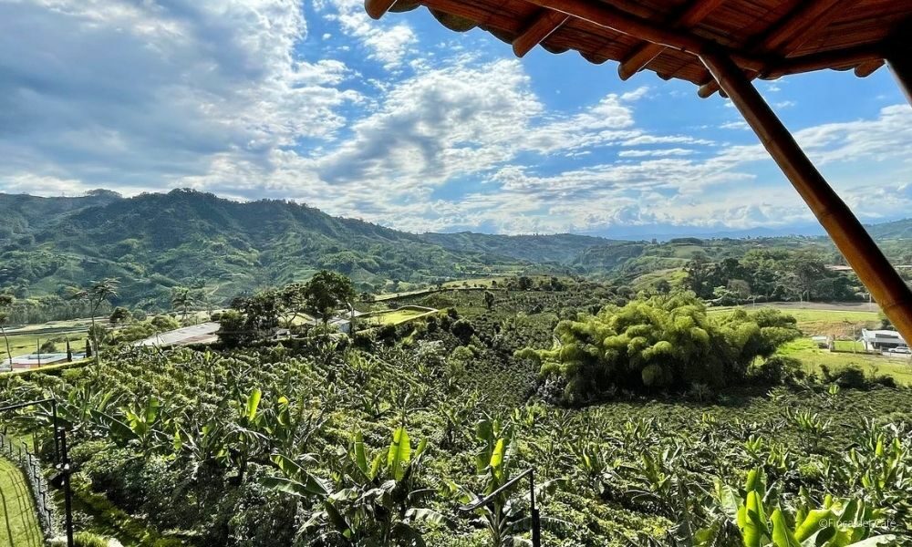 hoteles amantes cafe