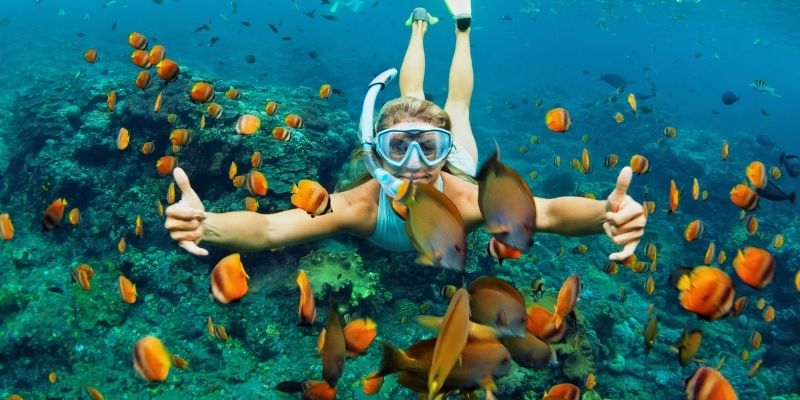 En los cayos de Los Roques de Venezuela puedes practicar snorkeling 