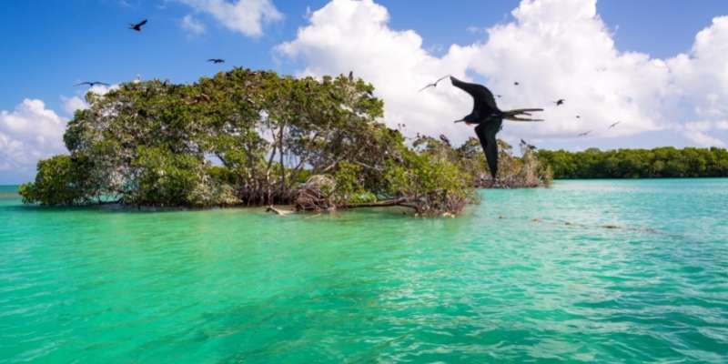 quintana roo patrimonio de la humanidad