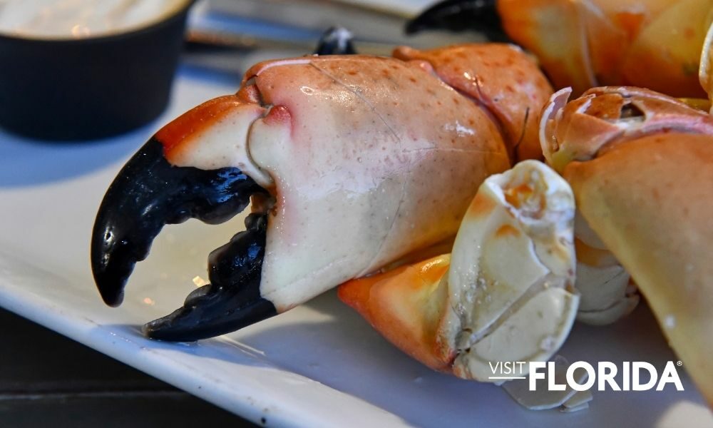Diez fabulosas experiencias gastronómicas en Florida