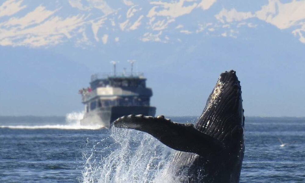 cruceros alaska