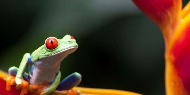 turismo costa rica