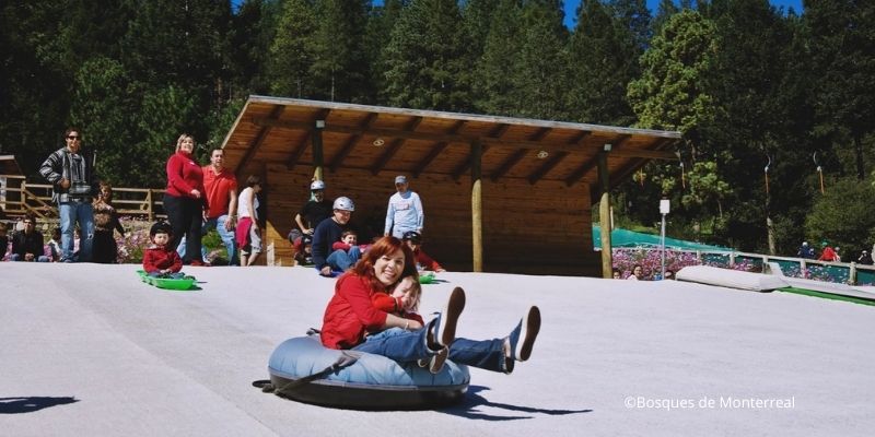 bosques de monterreal