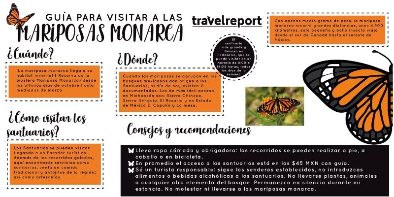 mariposas monarca