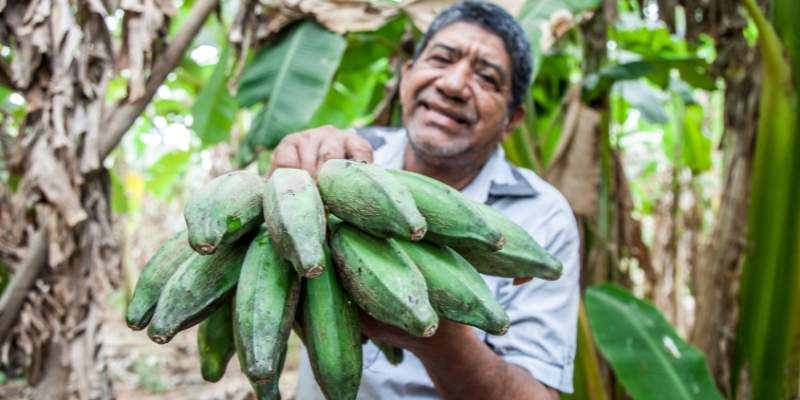 comida colombiana