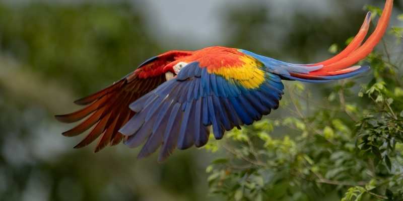 guia de viaje a costa rica