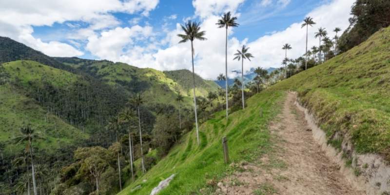 guias de viaje colombia