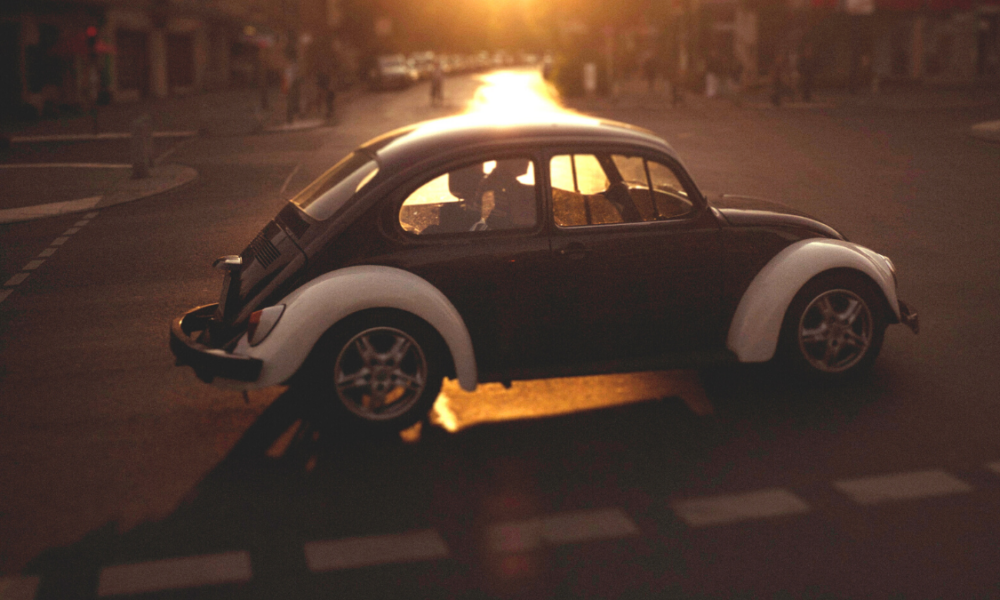 the traveling beetle