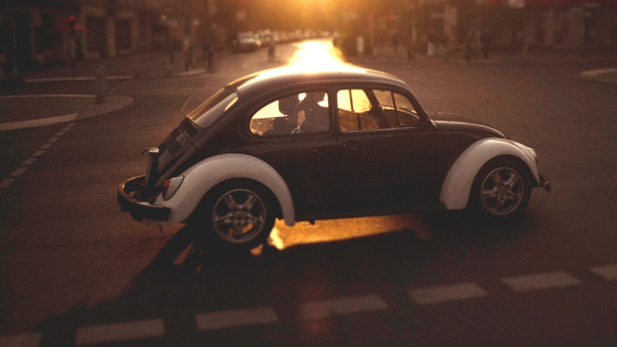 the traveling beetle