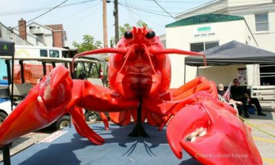 maine lobster festival