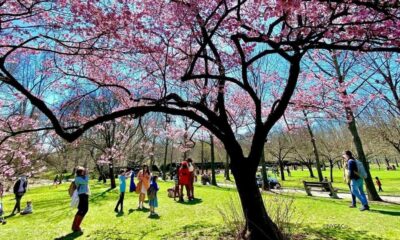 nueva york novedades primavera