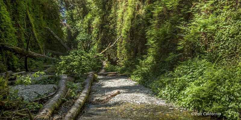 parques nacionales california