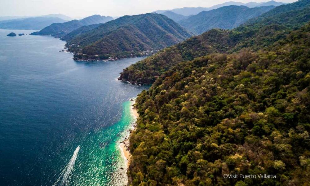 conectar naturaleza puerto vallarta